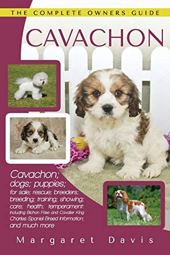 Cavachon the complete owners - cavachon:,