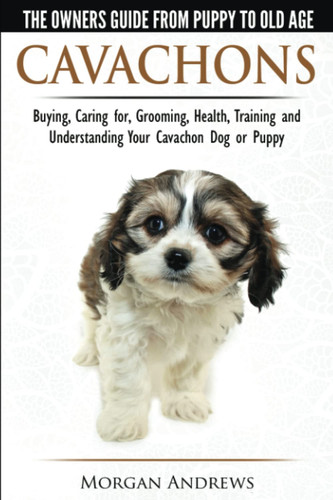 Cavachons the owner - owner's, guide