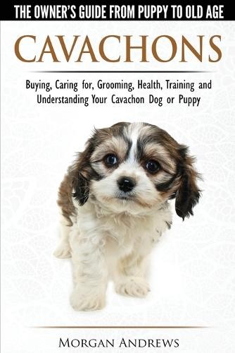 Cavachons the owner s - cavachons, owner's