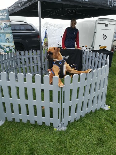 Plastic portable dog play pen