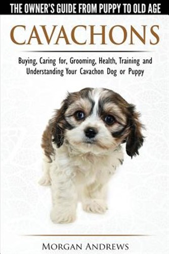 Cavachons the owner - the, guide