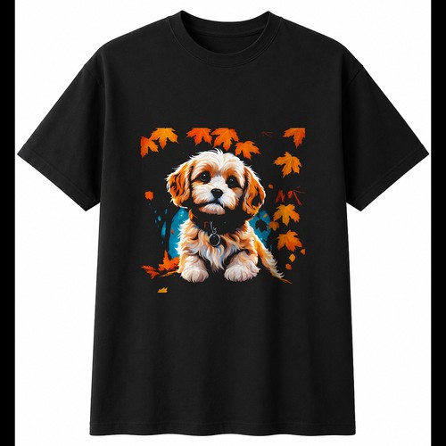 Colourful cavachon autumn - cavachon, in