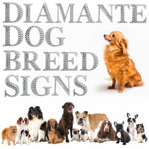 Diamante dog breed signs z - dog,