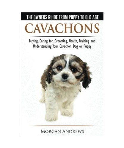 Cavachons the owner s guide - cavachons,