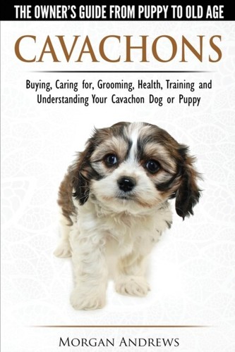 Andrews cavachons the - andrews,